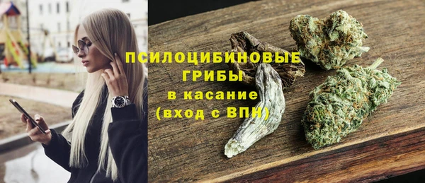 твердый Алзамай