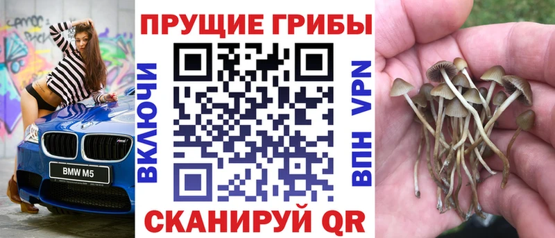 Галлюциногенные грибы ЛСД  купить   Долгопрудный 