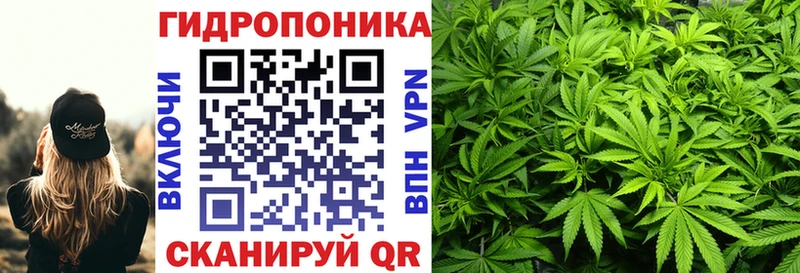 Марихуана гибрид Долгопрудный